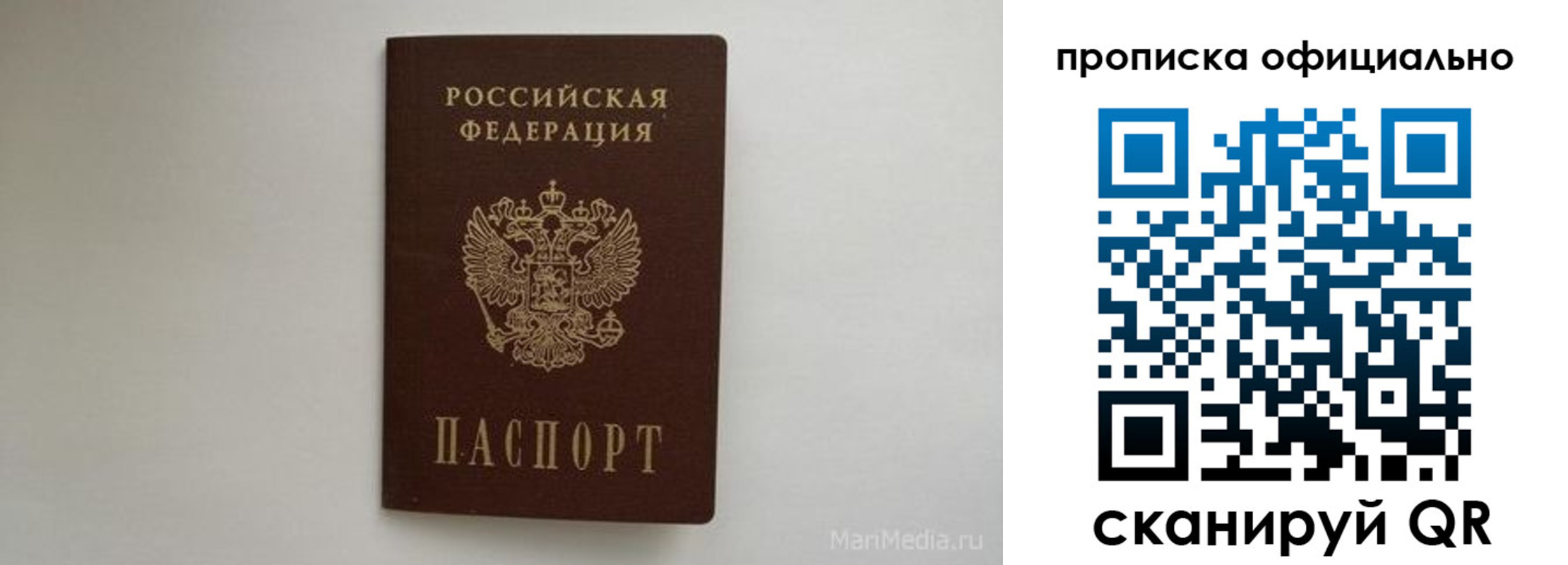 прописка в квартире в Чкаловске